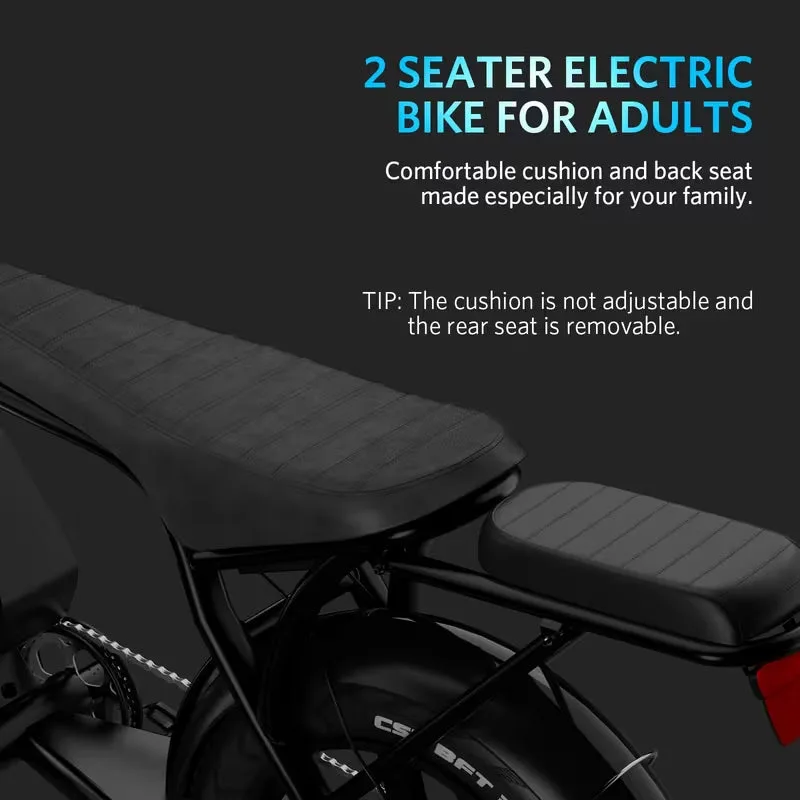 Fat-Tire E-Bike photo 12