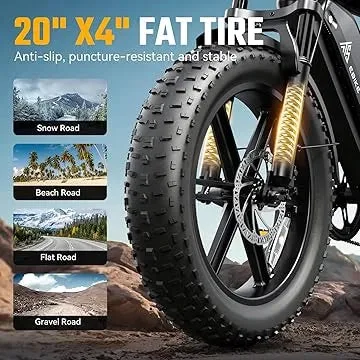 Fat-Tire E-Bike photo 6