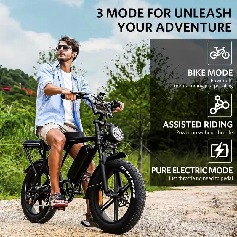Fat-Tire E-Bike photo 9