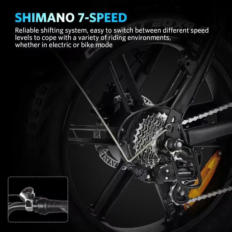 Fat-Tire E-Bike photo 11