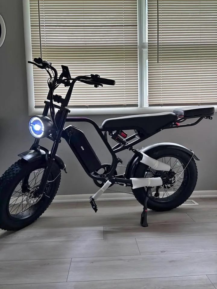 Fat-Tire Electric Bike – 1620W, 2-Seat, 7-Speed